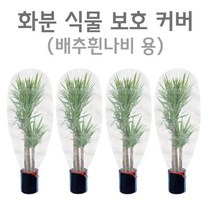 식물 보호 화분 망 덮개 커버 배추흰나비용 초등과학실험 초등교과실험 방과후학습 실험교구 실험세트 교구