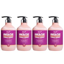위스티 이미지 극손상 헤어트리트먼트 러블리프렌즈 500ml, 4개