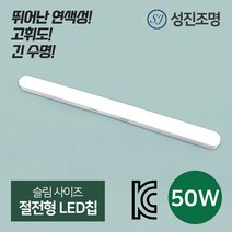 LED 성진 다용도 일자등 50W, 성진일자등50W
