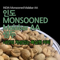 필더컵 인도 Monsooned Malabar AA 생두, 원두, 500g x 1개, 500g