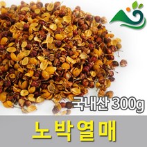 노박열매(300g)-국내산, 300g, 999