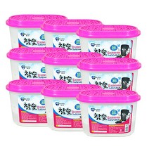 버블윅코리아 참숯 습기제거제 510㎖×9개, 510ml, 9개