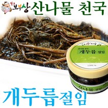 무배Μπλε팔도보부상 1kg 개두릅(엄나무순) 절임, 1개