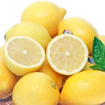 레몬16개가격 싸게파는 제품 중에서 다양한 선택지