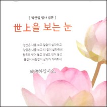 (CD) 박완일법사 - 세상을 보는 눈 (박완일법사법문), 단품