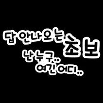 센스만점 자동차스티커 모음 (주유구 스티커 포함), 013_답안나오는 초보(화이트), 1개