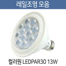 부경조명 레일조명 LED조명 레일기구 인테리어조명, [전구] 컬러원LED PAR30 13W 전구색