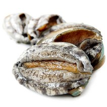 하늘뜰 완도 참전복 1kg 세트, 없음, 완도 참 전복 1kg(18-20마리)