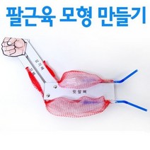 (사이언샵)팔근육모형만들기(10인)RN, 상세설명참조