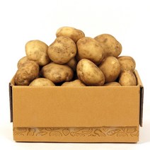 [농부마음] 맛있는 23년 햇 감자 수미감자, 중/소/통구이용, 5kg