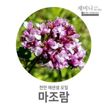 제미니상사 마조람, 1개, 10ml