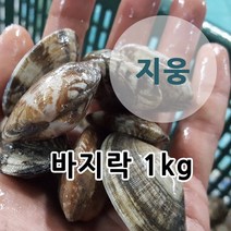 지웅수산 바지락 1kg, 1팩