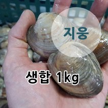 지웅수산 생합 1kg, 1팩
