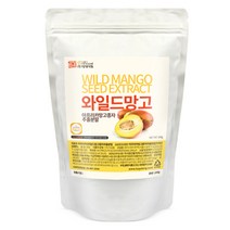 갑당약초 (실속형)와일드망고분말200g 기타 다이어트식품, 200g, 1개