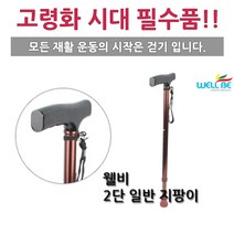 웰비 2단 지팡이, 1개