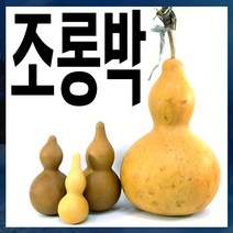 드림하우스 조롱박, 왕대, 1개