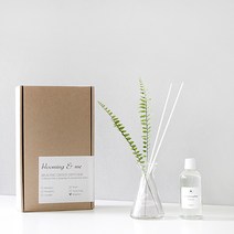 블루밍앤미 숲속의 향기 디퓨저 6종, 피치:3-2 그린leaf(아디안텀)-그린