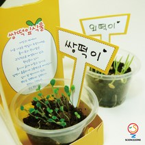 사이언스존 [새싹 키우기(쌍떡잎 외떡잎 식물) 5인용] 과학실험 과학교구 과학실험키트 창의력 학습교구