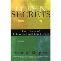 Open Secrets: The Letters Of Reb Yerachmiel Ben Yisrael, Monkfish Book Pub Co
