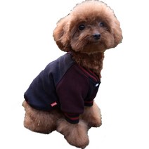 미니피니 강아지 야구 점퍼, 네이비(레드)