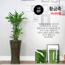 하트앤플라워 49 000원, 7_황금죽, 1개