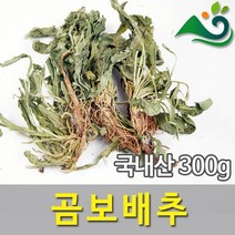 곰보배추(300g)-국내산, 300g, 1개