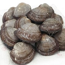 [순천만] 제철꼬막 피꼬막 새꼬막 산지발송!, 2kg, 1개