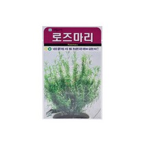 로즈마리(허브)씨앗 70립