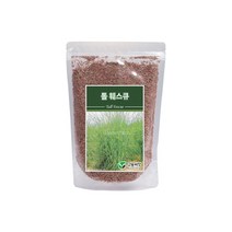양잔디씨앗 톨훼스큐 500g