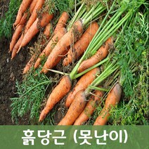 두리반농산 흙당근 쥬스용(즙용) 10kg, 1박스