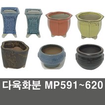 화분백화점 다육화분 미니화분 화분, 제품명