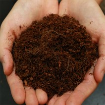 코코피트 애완 전용 2L 5L 10L 백와 달팽이 흙 달팽이 키우기 달팽이 매트, 1개