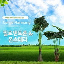 호가 대형조화 인테리어 실내조경 실내정원 화분 인조나무 몬스테라 조화나무