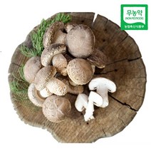 친환경팔도 무농약 송이향 송화고버섯 500g 1kg, 1박스, (특대품)1kg