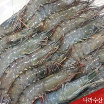 나라수산 신선한 자연산 블랙타이거새우 500g 10마리 20마리, 1set, 02.블랙타이커새우500g(15마리)