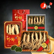 [강화초지인삼] 건강하게 키워낸 5년근 수삼 난발삼 모음, 1set, 15_5년근 난발삼 1채 500g (4~5뿌리)