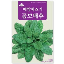 청농종묘 와송 씨앗 5000립 와송씨앗 와송씨 신탑 탑송 씨, 01_곰보배추(1000립)