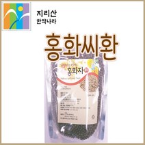 지리산한약나라 홍화씨환, 300g, 1개