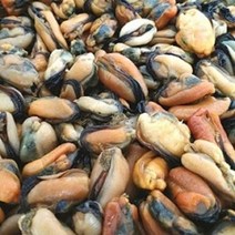 통영 피꼬막1kg 외 해산물고르기 당일조업 총알발송, 1개, 반건조홍합살500g