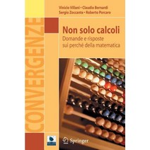 Non Solo Calcoli: Domande E Risposte Sui Perche Della Matematica Paperback, Springer