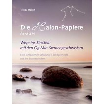 Die Halon-Papiere Band 4/5 Paperback, Books on Demand