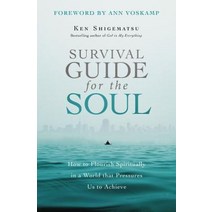 Survival Guide for the Soul: How to Flourish Spiritually in a World That Pressures Us to Achieve Paperback, Zondervan