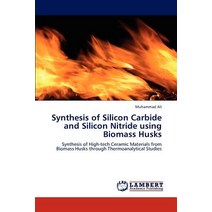 Synthesis of Silicon Carbide and Silicon Nitride Using Biomass Husks Paperback, LAP Lambert Academic Publishing