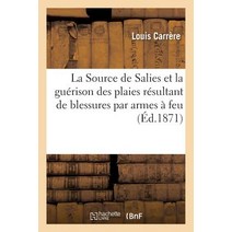 La Source de Salies Et La Guerison Des Plaies Resultant de Blessures Par Armes a Feu Etude Paperback, Hachette Livre Bnf