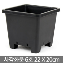 청운 꽃단지 플라스틱 화분 파란화분 꽃화분 대형화분 칼라화분 둥근화분 중형화분 야외화분 베란다화분 거실화분 예쁜화분 가벼운화분, 05_세인_정사각화분(검정-6호)