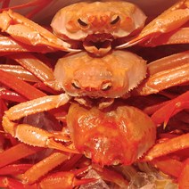 산지직송 동해 홍게 붉은대게 조업 입항 당일 생물 자숙(찜), 1박스, 07_홍게 고급형 3kg 6~10마리(생물)