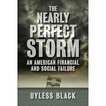 The Nearly Perfect Storm: An American Financial and Social Failure Paperback, IEI Press