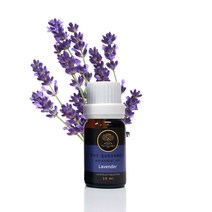 퀸비 에센셜오일 유기농오일 10ml, 유료에센셜오일-라벤더