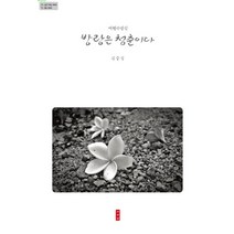방랑은 청춘이다:여행수필집, 이서원, 김중섭 저