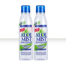 프룻오브디얼스 알로에 미스트 177ml x 2개 미스트/픽서, 1세트